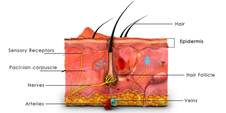 Elektrolyse ontharing - o2 Clinic